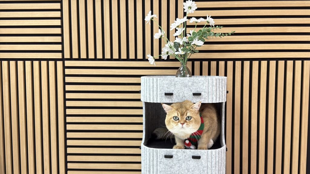 cat house